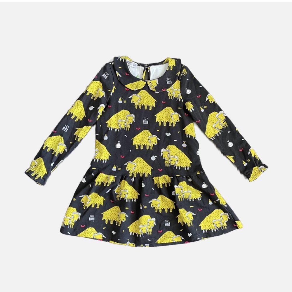 NWT Raspberry Republic Girls Dress- size 5-7